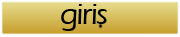 Giriş